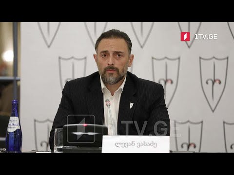 ლევან ვასაძის განცხადება